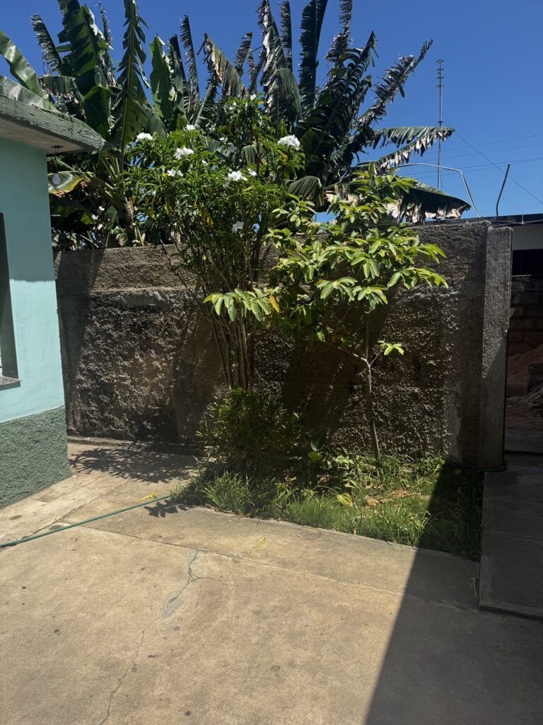 Fotografía de la vivienda
